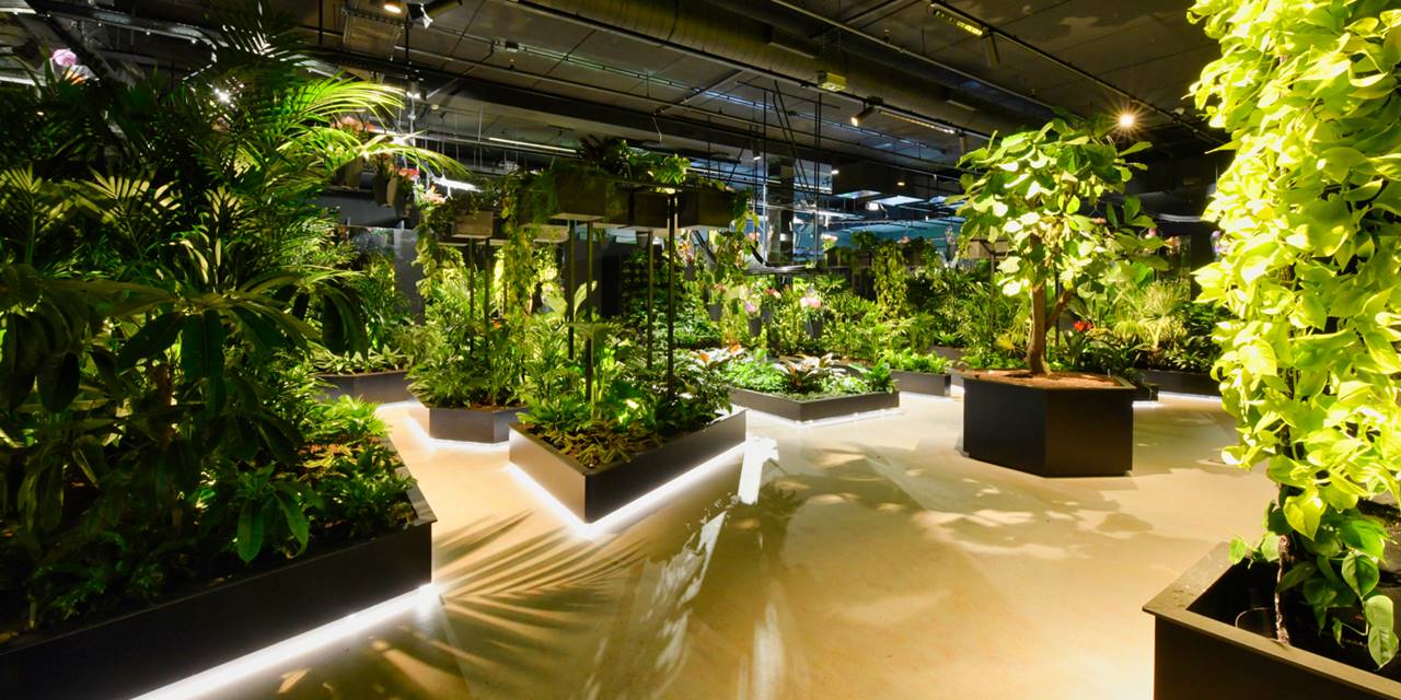 Floriworld, Aalsmeer - Dé groenexperience van Nederland met beplanting en onderhoud van Donker Interieur!