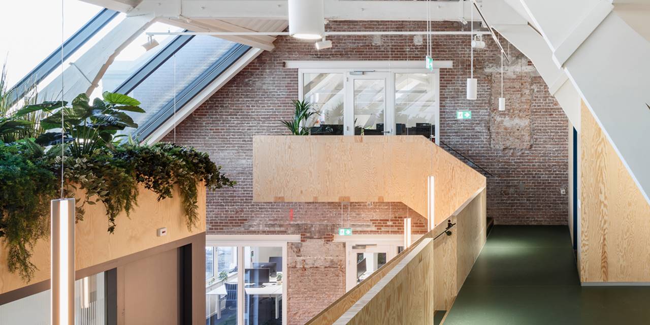 Upfield, Rotterdam - De planten verminderen de warmte in het kantoor.