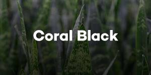 Coral Black